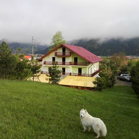 Grandemi Belvedere Bucovina Frasin Exterior photo