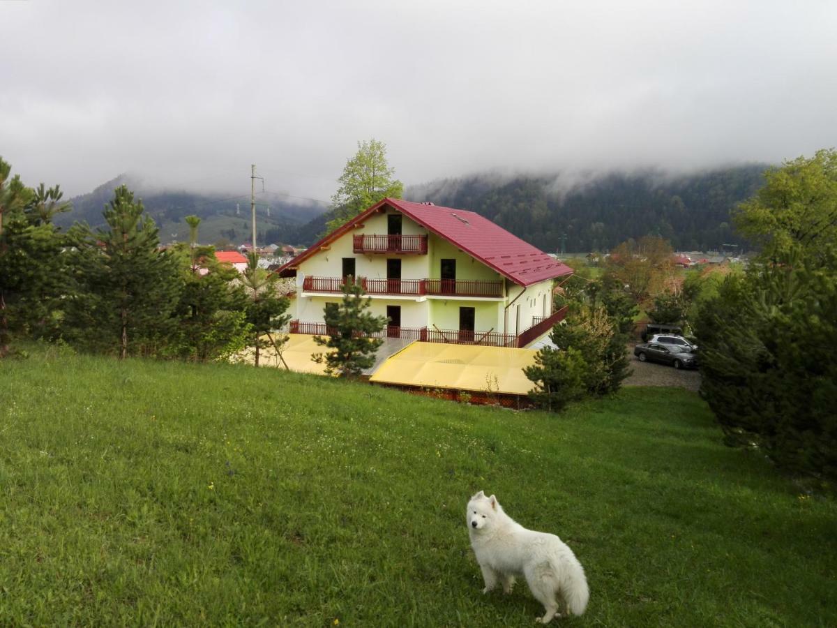 Grandemi Belvedere Bucovina Frasin Exterior photo